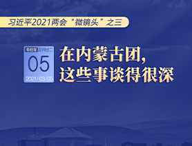 習近平2021兩會“微鏡頭”之三 3月5日 在內蒙古團，這些事談得很深