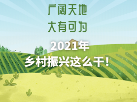 廣闊天地 大有可為 2021年鄉村振興這么干！